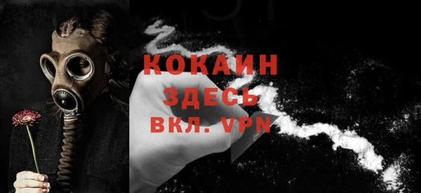 сатива Нягань