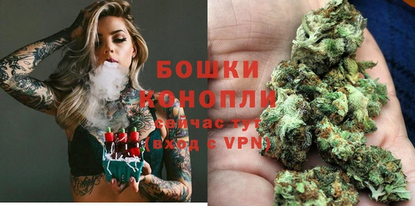 apvp Няндома