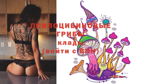 apvp Няндома