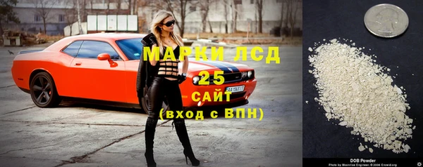 сатива Нягань
