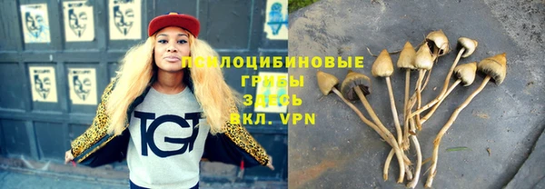 apvp Няндома