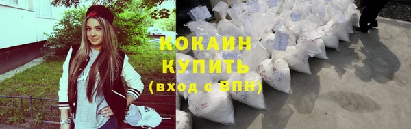 apvp Няндома