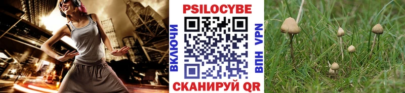 Галлюциногенные грибы Psilocybine cubensis shop как зайти Палласовка